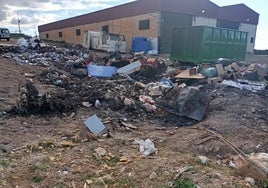 The rubbish dump at the centre of the complaint in Periana