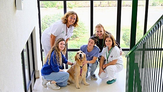 Pets as therapy project rolled out by hospital on the Costa del Sol