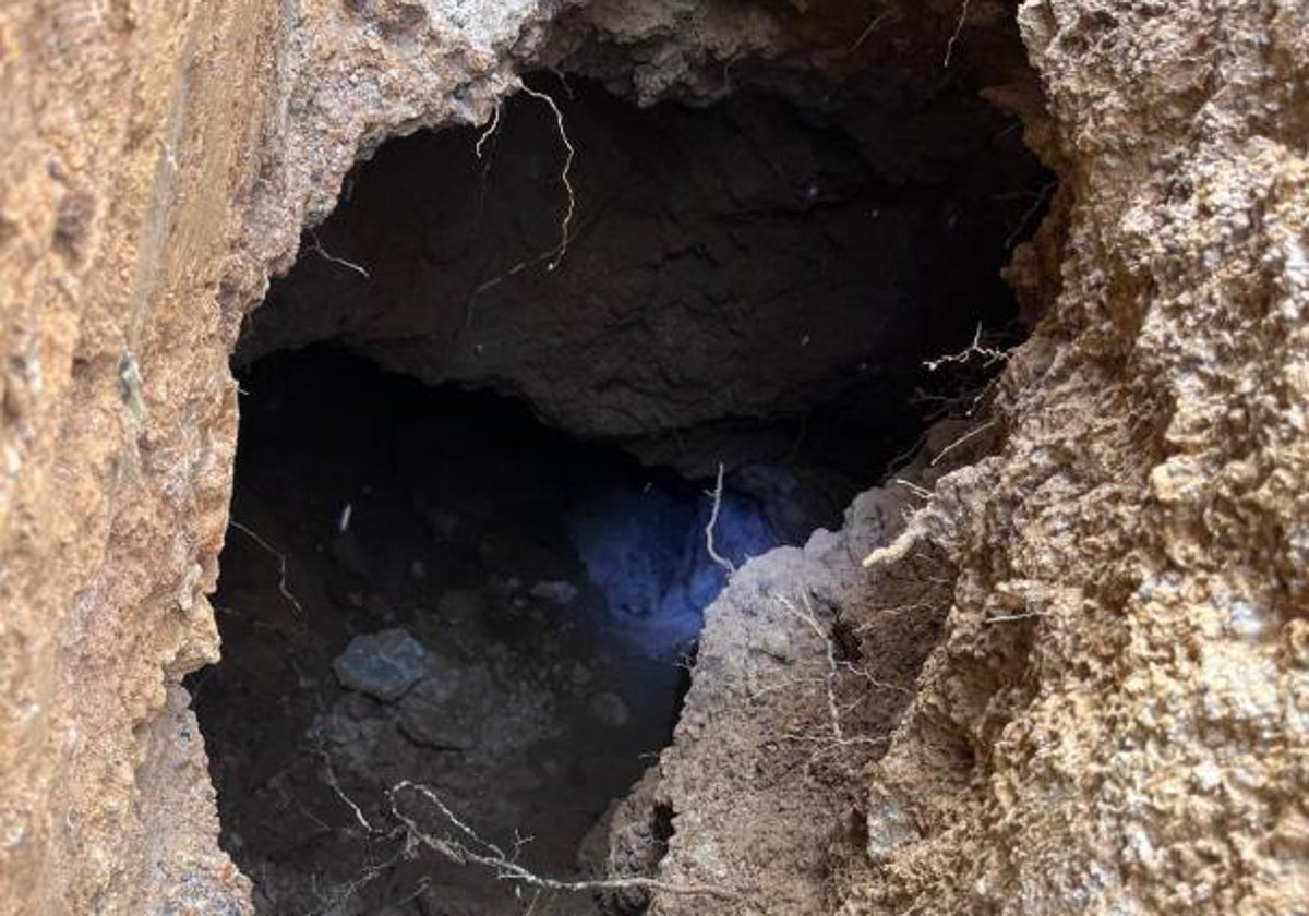 Cave discovered in Avenida de Retamar.