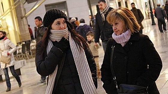 Mercury plummets leaving sub-zero temperatures and frost in parts of Malaga province