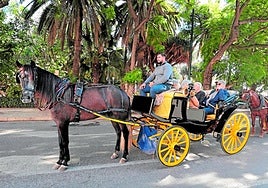 Malaga currently issues 25 operating licences for horse-drawn carrages in the city.