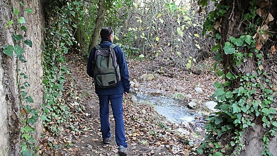 The Arroyo de la Ventilla trail near Ronda: one of the most unique waterside walks in Andalucía