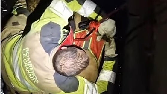Granada firefighters rescue dog that had been trapped down a well for four days