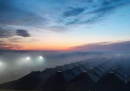 Fog over the terminal at Malaga Airports, as seen from the control tower.