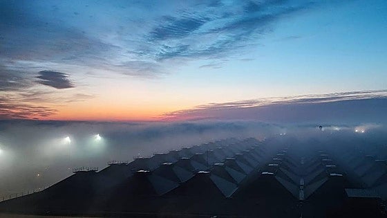 Dense fog blankets the Costa del Sol causing flight diversions and delays at Malaga Airport