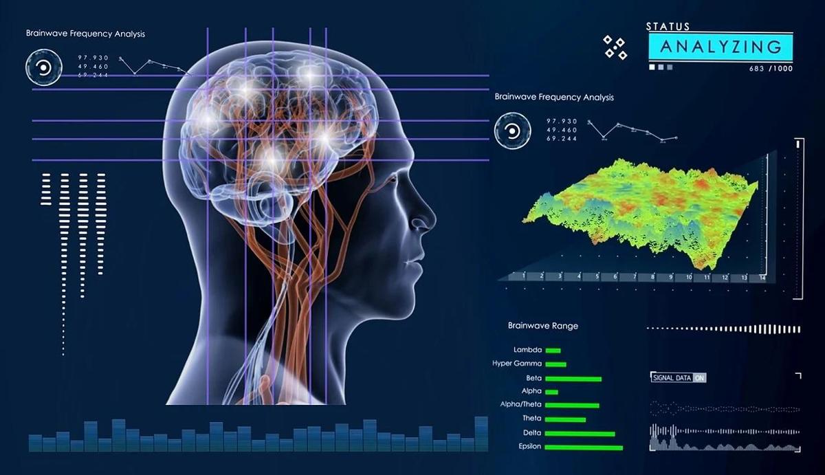 To what do we owe the size of our brain? Once again it could be down to the microbiota in our gut