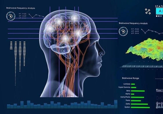 To what do we owe the size of our brain? Once again it could be down to the microbiota in our gut