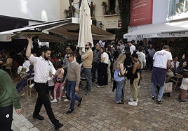 Malaga council admits that some services in the old part of the city are overstretched.