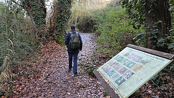 Immerse yourself in nature by exploring Malaga's forests