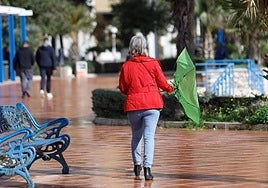 Storm Ivo takes over from Herminia: a cold front arrives but it will bring little rain to Malaga