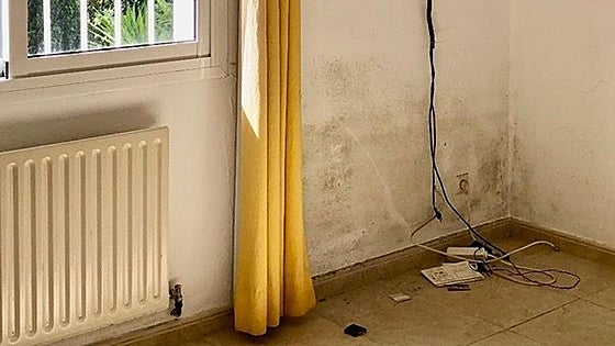 Damp walls in your house?