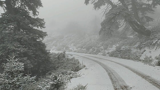 The aptly-named Sierra de las Nieves is once again clothed in white