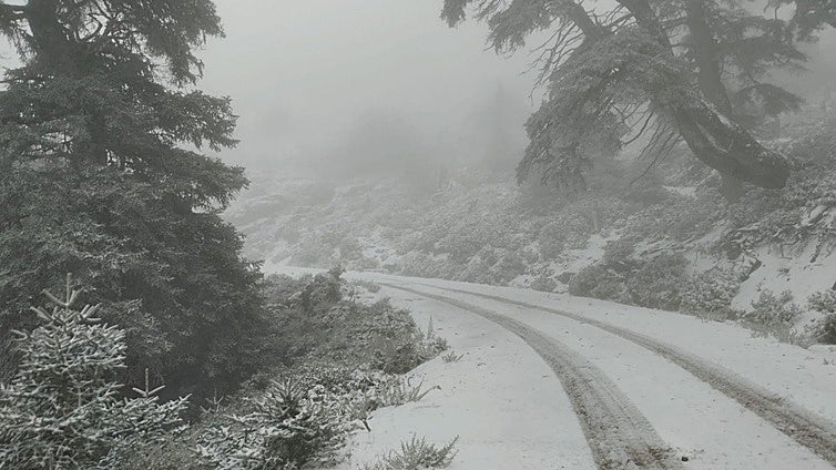 The aptly-named Sierra de las Nieves is once again clothed in white