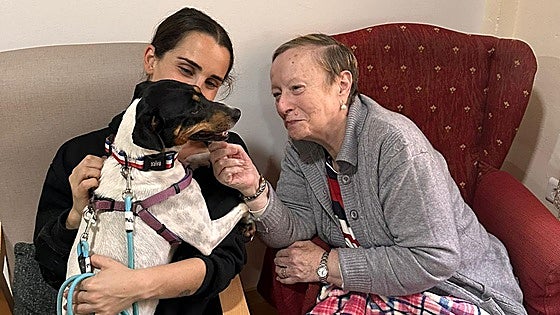 Abandoned dogs help combat loneliness amongst older generation in Malaga