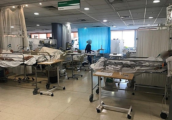 Malaga's Hospital Clínico workers warn that emergency department is on the verge of collapse