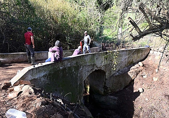 The bridge near the Guadalpín mill was completely hidden by vegetation.