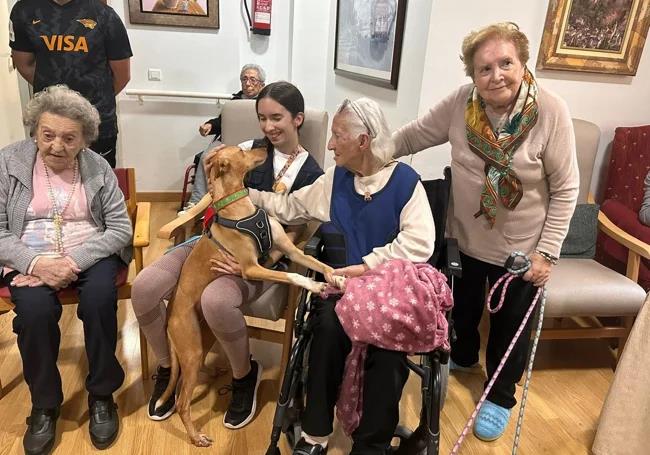 Several residents around another of the dogs and a volunteer who participated in the visit.