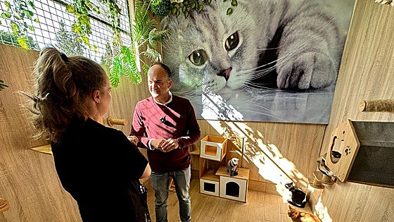 Free pet adoption scheme to combat animal abandonment extended in Fuengirola