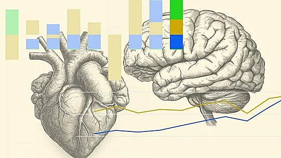 Stroke cases in Malaga province have risen by 32% since the outbreak of Covid-19 pandemic