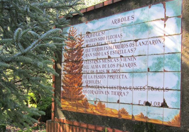 A poem by García Lorca awaits in the heart of this Spanish fir forest.