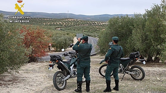 Sixty people investigated for urban development crimes across Malaga province