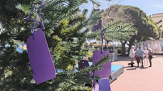 La Cala de Mijas Lions memory market raises 3,000 euros