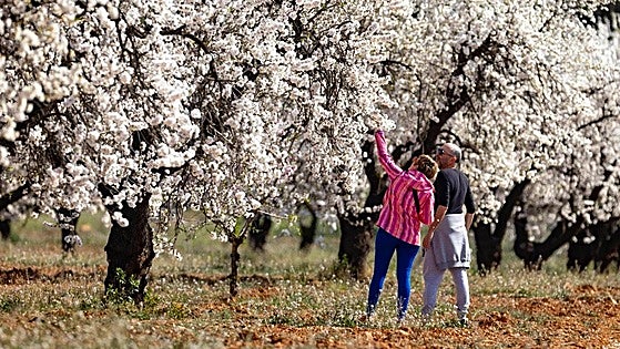 Spain goes two years without a cold wave and another warmer than normal winter