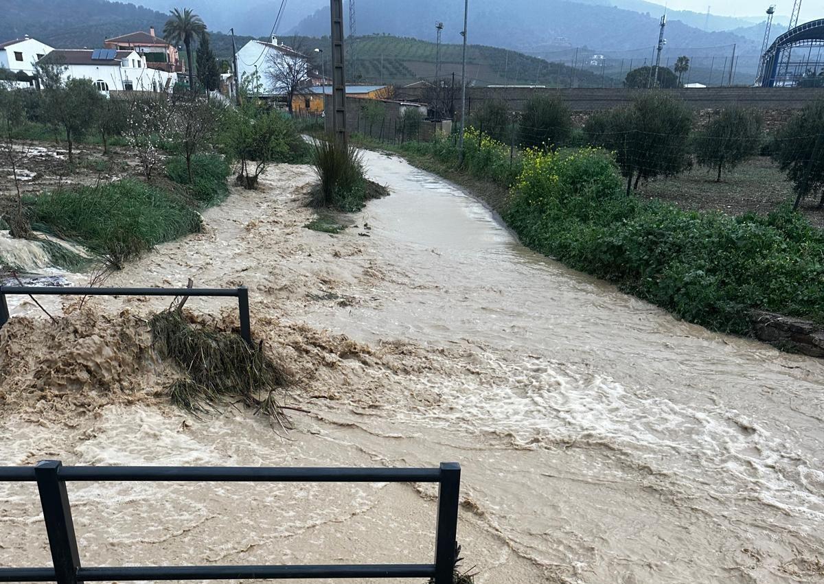 Imagen secundaria 1 - Ronda, El Burgo and Igualeja.