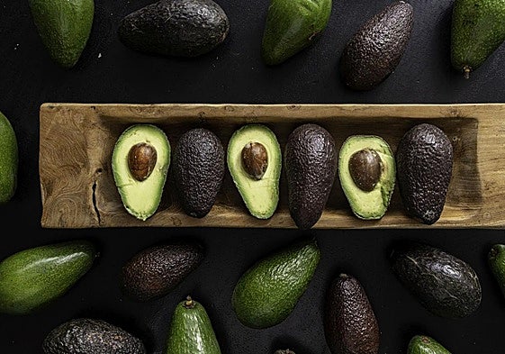Malaga chefs share their favourite avocado recipes for the Axarquía's 'green gold'