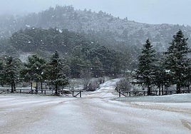 Snow falls again in Malaga's Sierra de las Nieves national park, in pictures
