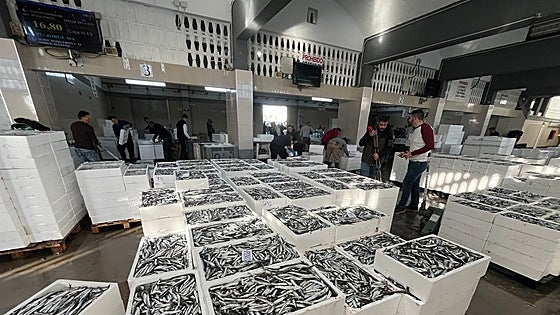 Regional government bans fishing for clams on the Costa del Sol until 1 July