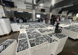 Image of the Caleta de Vélez fish market.