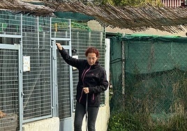 A volunteer from the association takes one of the dogs out of the shelter.