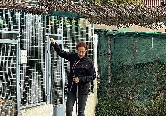 A volunteer from the association takes one of the dogs out of the shelter.