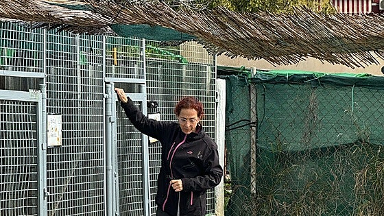 Mijas animal shelter launches emergency operation after storms devastate the facility