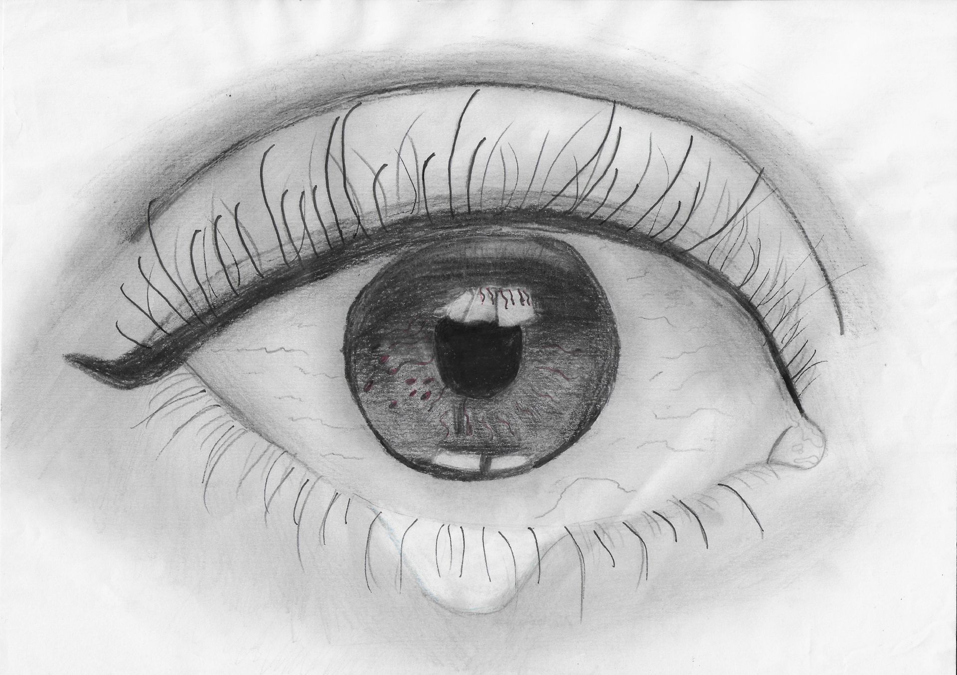 Anastasia, aged 10, Calpe Primary School