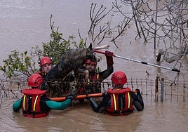 A pet dog is rescued by the emergency services.