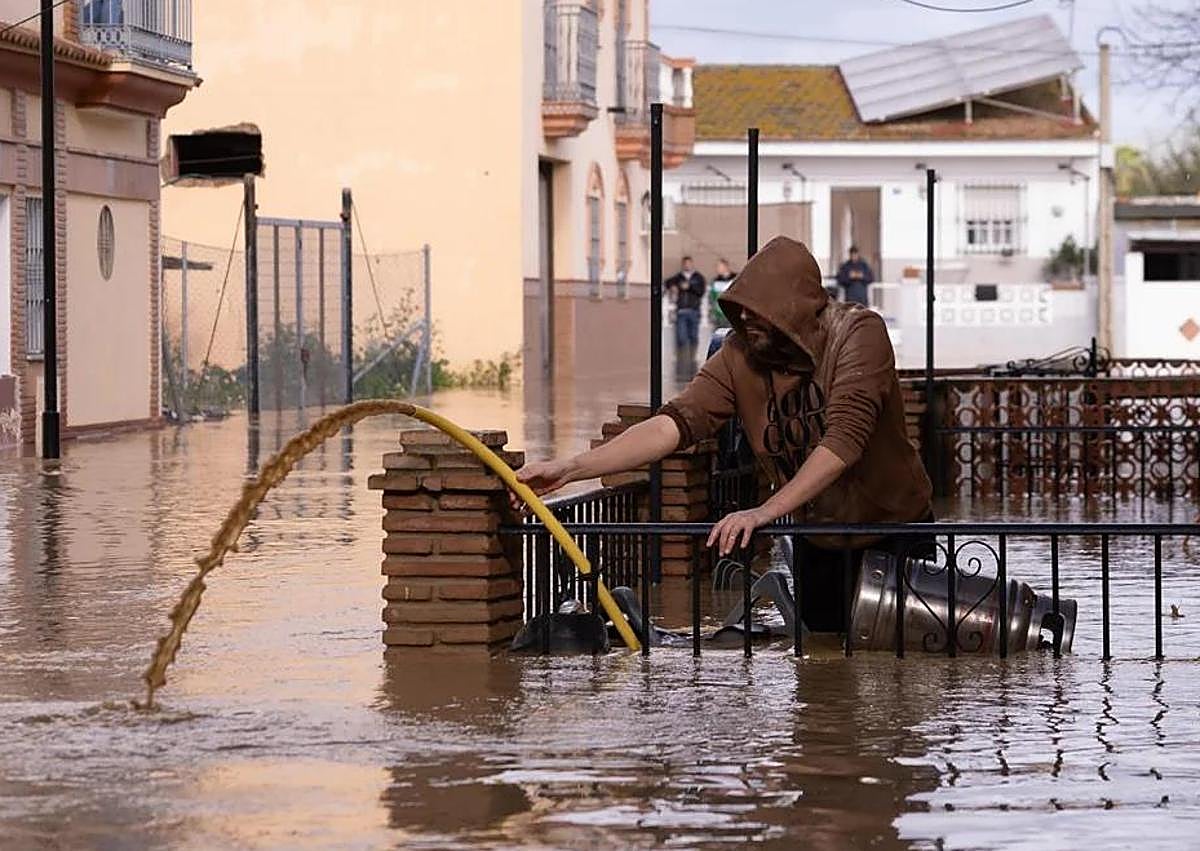 Imagen secundaria 1 - Nito Salas