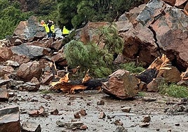 Photo of the damage caused by the massive landslide on the Ronda-San Pedro road.
