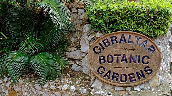 Gibraltar opens Centre for Biodiversity and Animal Movement