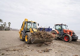 The clean-up operation in full swing on the Costa del Sol resort's beaches.