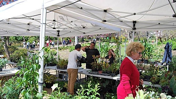 Benalmádena to host popular rare plant fair over Easter weekend