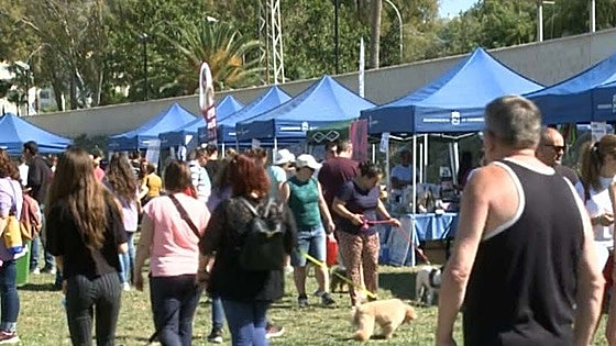Fuengirola stages canine day to highlight the role that dogs perform in society