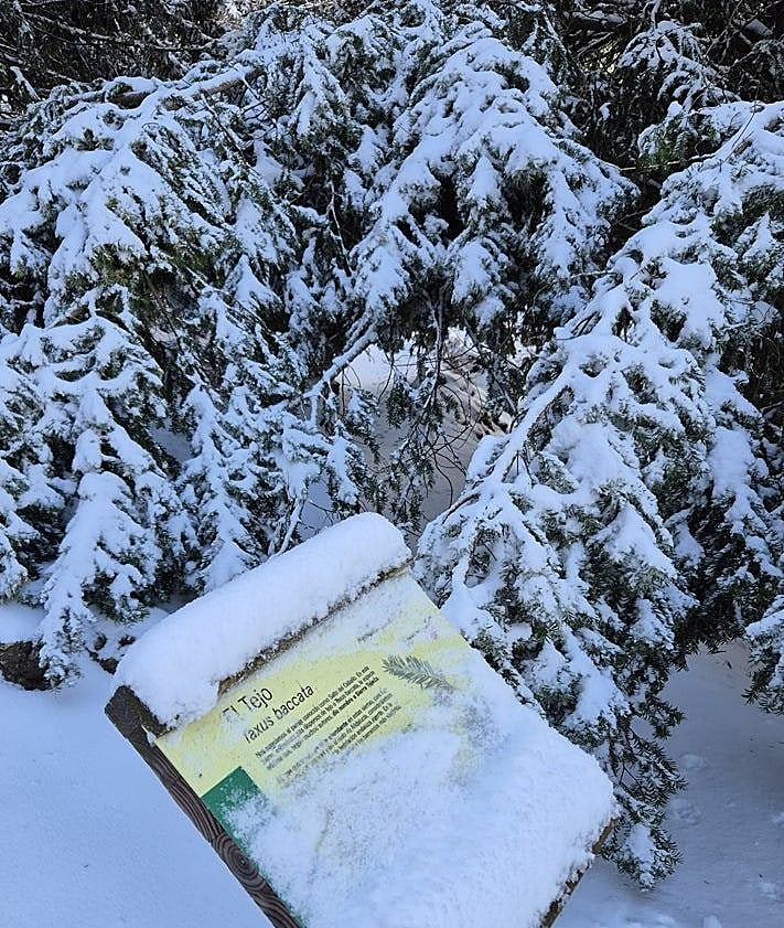 Imagen secundaria 2 - Snow on La Maroma on Monday 24 March