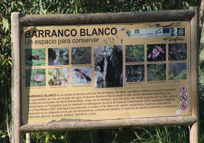 In Barranco Blanco there is a biodiversity that must be preserved.