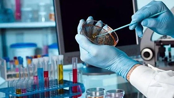 Spanish inventors filed almost 2,200 European patents in 2024, a 3% increase