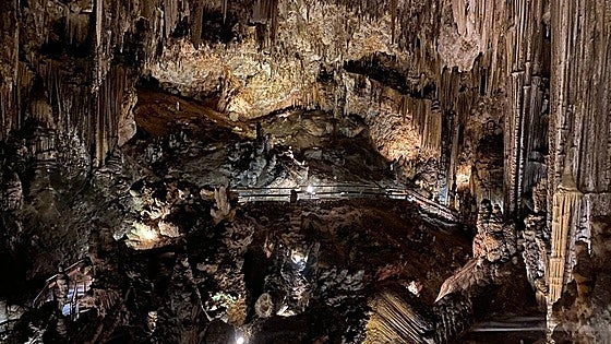 Popular Costa del Sol tourist attraction dives into the importance of the sea in prehistory