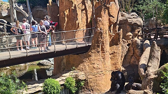 A day in the life of an animal keeper at Bioparc Fuengirola conservation park