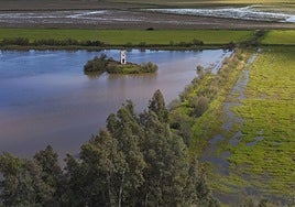 Doñana's marshland, now flooded once more following the recent rains.