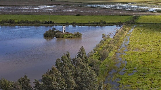 Doñana National Park in Spain is resurrected by the latest rains, in pictures